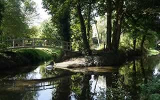Suffolk stream with bridge